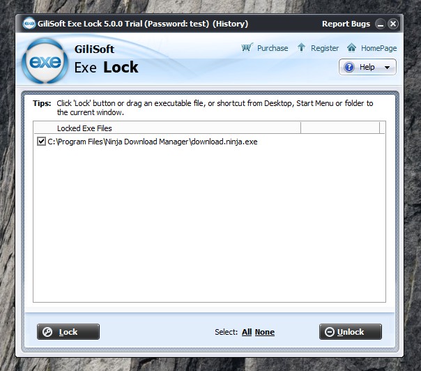 GiliSoft Exe Lock 10.8 for iphone download