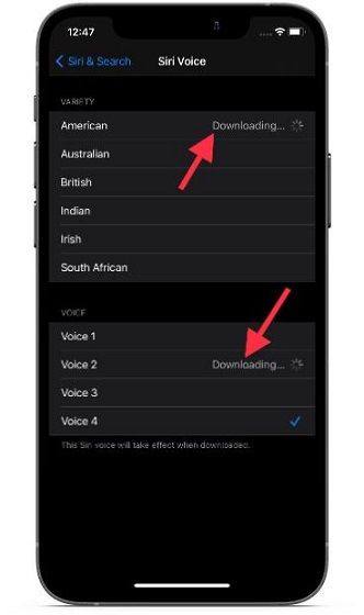 descargar nueva Siri Voice en iOS y iPadOS