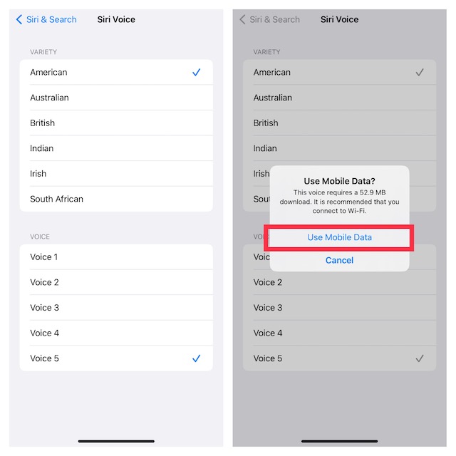 Consigue Siri Voice de género neutral en iPhone y iPad 