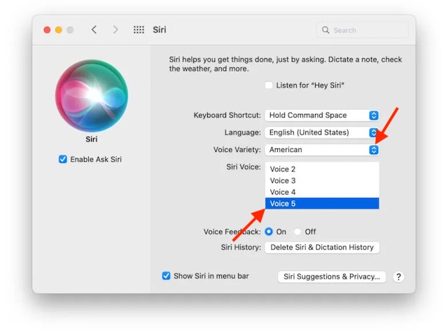 Elija la variedad de voz y el número de voz en Mac para la voz neutral de género de Siri